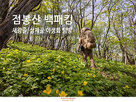 점봉산 야생화 탐방기