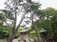 경북예천 초간정 - 드라마..