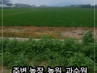 농지매매)2차선 접근 용이..