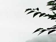 풍요롭고 평안한 ..