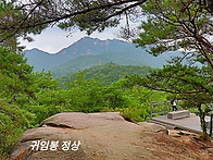 수락산 귀임봉/서울둘레길