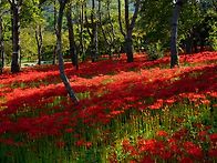 선운산 종주