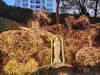 자녀사랑회 아빠들 성모동..