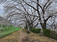 삼성현역