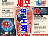 치매,당뇨 등이 걱정이시면..
