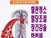 혈관청소,혈당,장건강을 ..