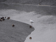 2025. 11. 23(일) - 정기모니터링(소래습지..