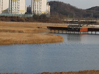 2025.12.21(일)- 정기모니터링(소래습지생..