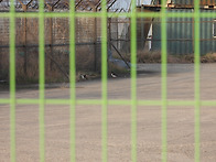 2026년 4월19일 정기모니터링 결과_매도