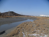 2026.02.01(일요일) - 정기모니터링(소래습..