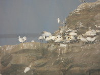 2026년 4월19일 정기모니터링 결과_매도