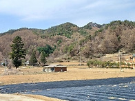 평창 폐농가 활용하실분 ..