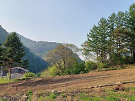 평창에서 문의가 폭주하는..