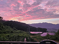 충남 부여 전원주택 밤농장..