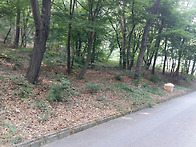 **고양시 통일로IC인근,취..