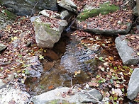 나만의 산속 계곡낀 프리미..