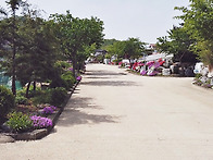 귀촌 처음이세요? 이미 다..