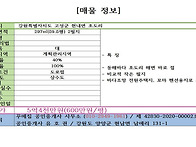 광할하고 푸르른 동해바다..