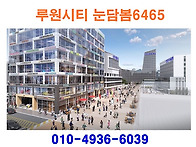 루원시티 눈담봄6465