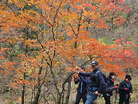 흘림골 산행사진 ..