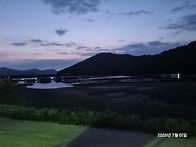 복숭아수학