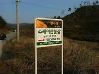 우리는