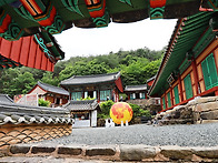동악산 도림사 (전남 문화..
