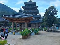 보은 법주사