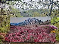 나기연님 비슬산