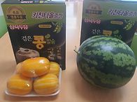 봉사선생님들 고마워요