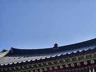 #03월01일 영광 불갑산 시..