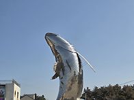 신안 임자도 대둔산 & 불암산 & 삼각산