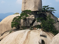 삼복더위에 도봉산 5봉 리..