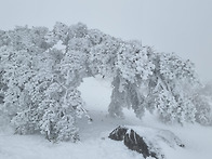 한라산 설경입니다