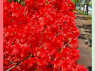 제756차 황산공원둘레길