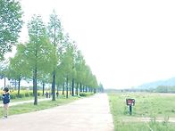 RE:황산공원둘레길 잘다녀..