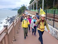 제735차 해운대국제걷기대..