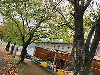 경주 무장산 무장봉(계곡길..