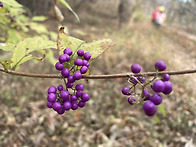 제693회차 금정산파리봉능..