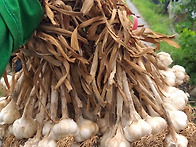 모든상품 아주 저렴한가격..