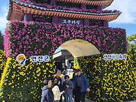 연천 국화축제