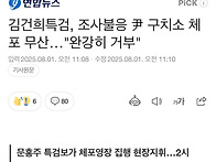 #시사만평4(202..