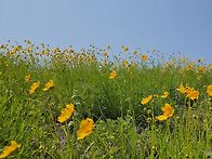 [6월 3일] 경기둘..