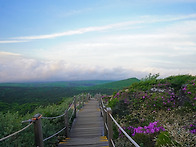 한라산 윗세오름.. 어승생..