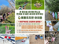 [예쁨유치원 정보] 인스타..