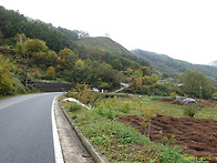 충북 단양군 / 2026년10..