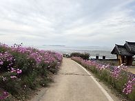 폰 사진 / 영광군 / 20..