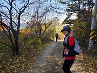 폰 사진/ 2025년 11월9..