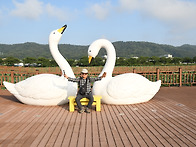 구미 지산샛강 생태공원 ..