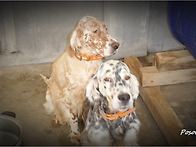 데코베리의 추억